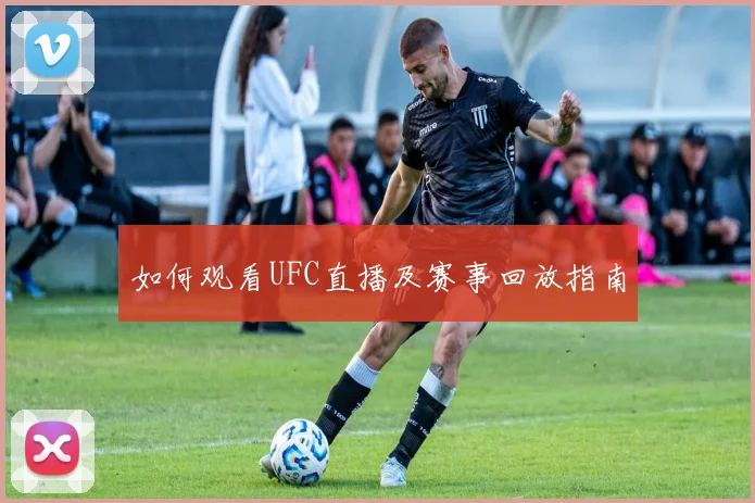 如何观看UFC直播及赛事回放指南