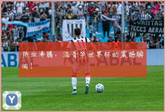 热血沸腾，温哥华世界杯的震撼瞬间！