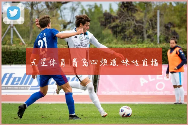 五星体育 青岛四频道 咪咕直播