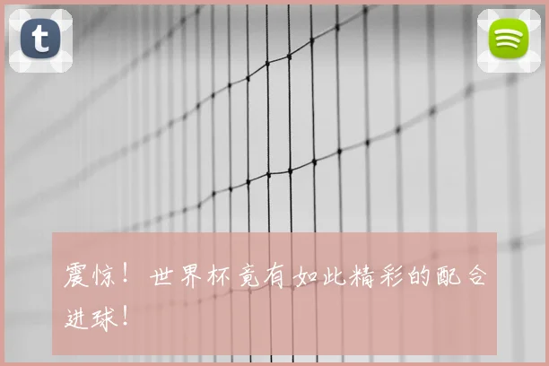 震惊!世界杯竟有如此精彩的配合进球!
