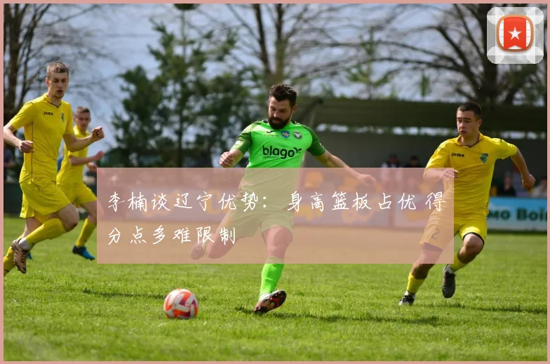 李楠谈辽宁优势：身高篮板占优 得分点多难限制