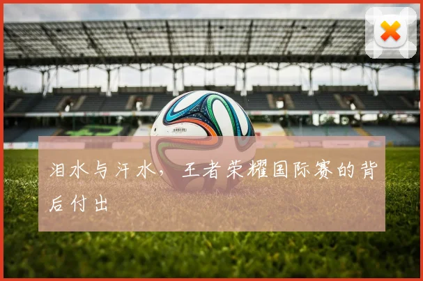 泪水与汗水,王者荣耀国际赛的背后付出