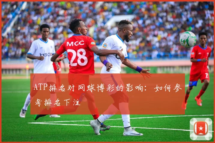 ATP排名对网球博彩的影响:如何参考排名下注