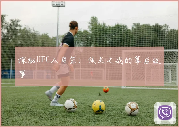 探秘UFC八角笼:焦点之战的幕后故事
