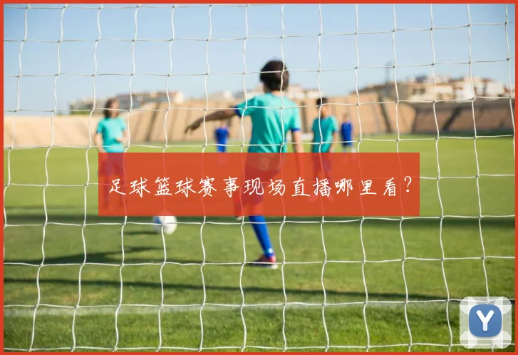 足球篮球赛事现场直播哪里看?