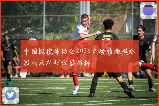 中国橄榄球协会2026年腰旗橄榄球器材及科研仪器招标