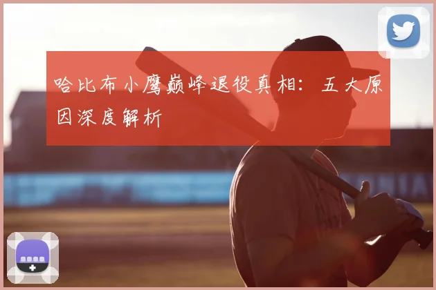 哈比布小鹰巅峰退役真相：五大原因深度解析