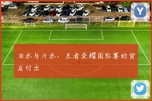 泪水与汗水,王者荣耀国际赛的背后付出
