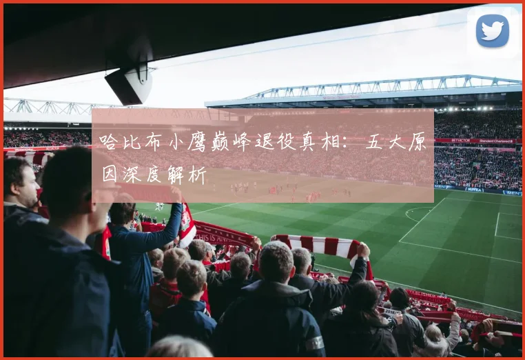哈比布小鹰巅峰退役真相：五大原因深度解析