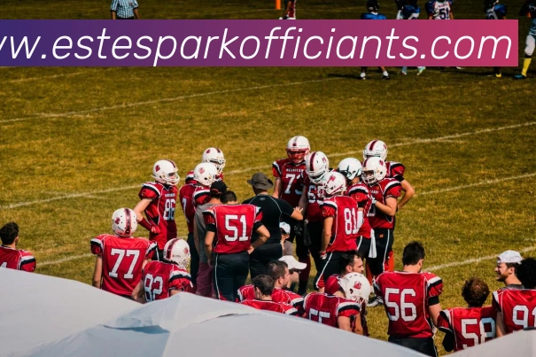 体育App
